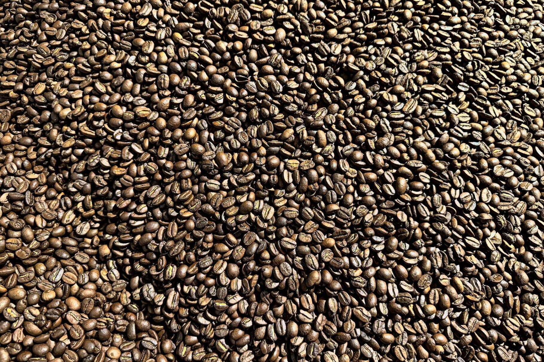 Mario Melle Markt11 4