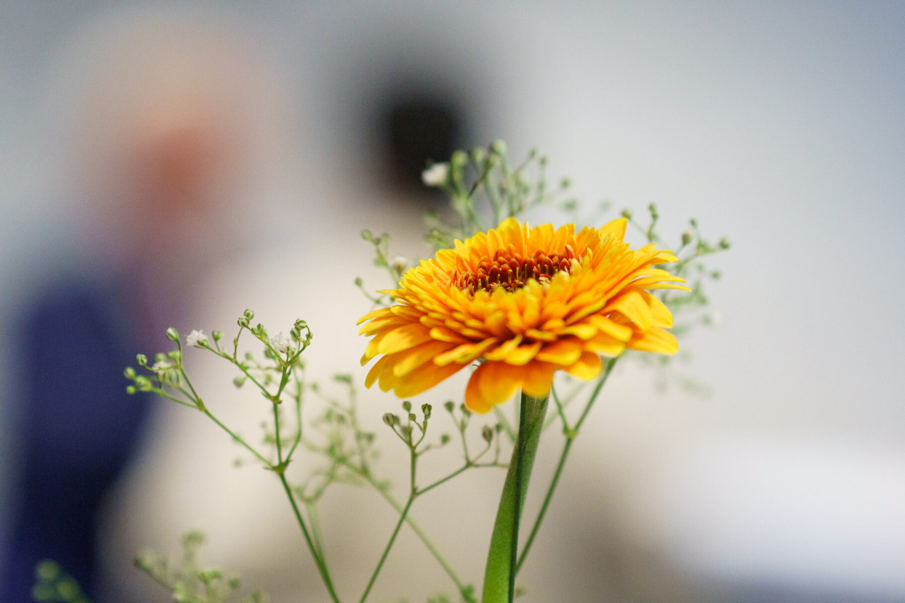 BVMW Politischer Jahresauftakt 1