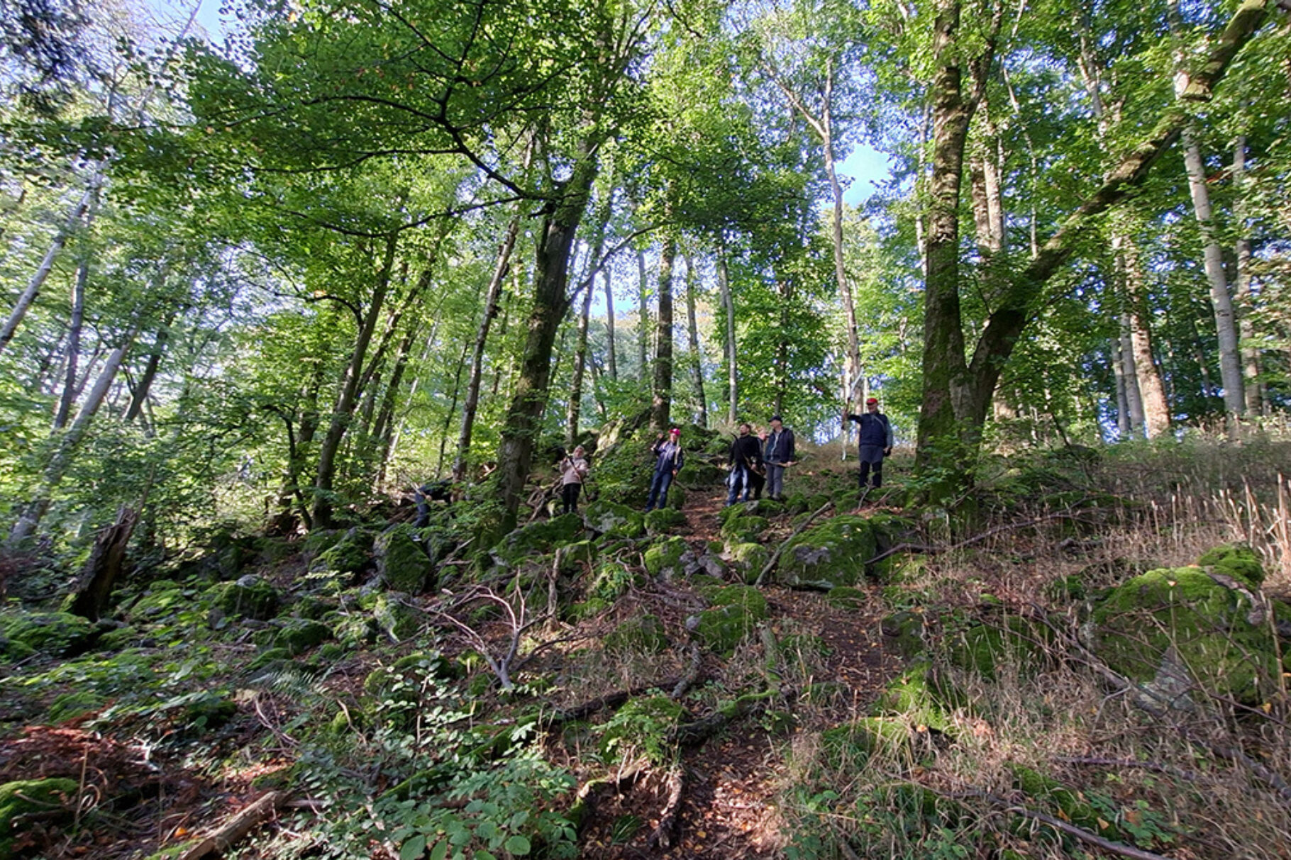 2025 10 22 BVMW Wetterau News Bogenwandern 002