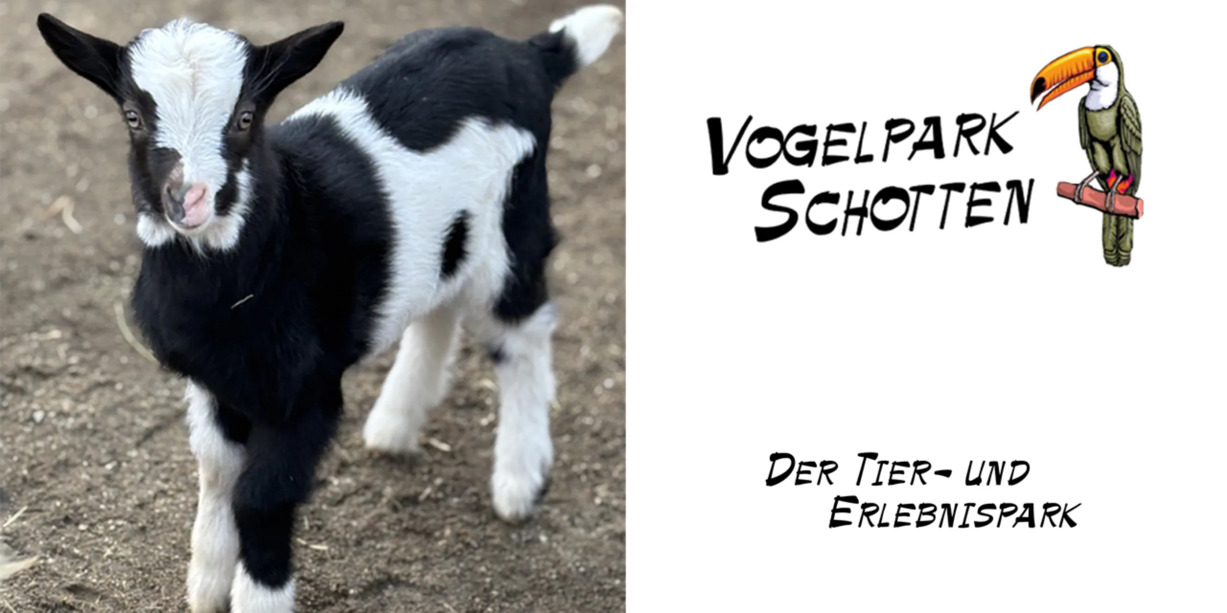 Der Vogelpark Schotten startet in die Saison 2025