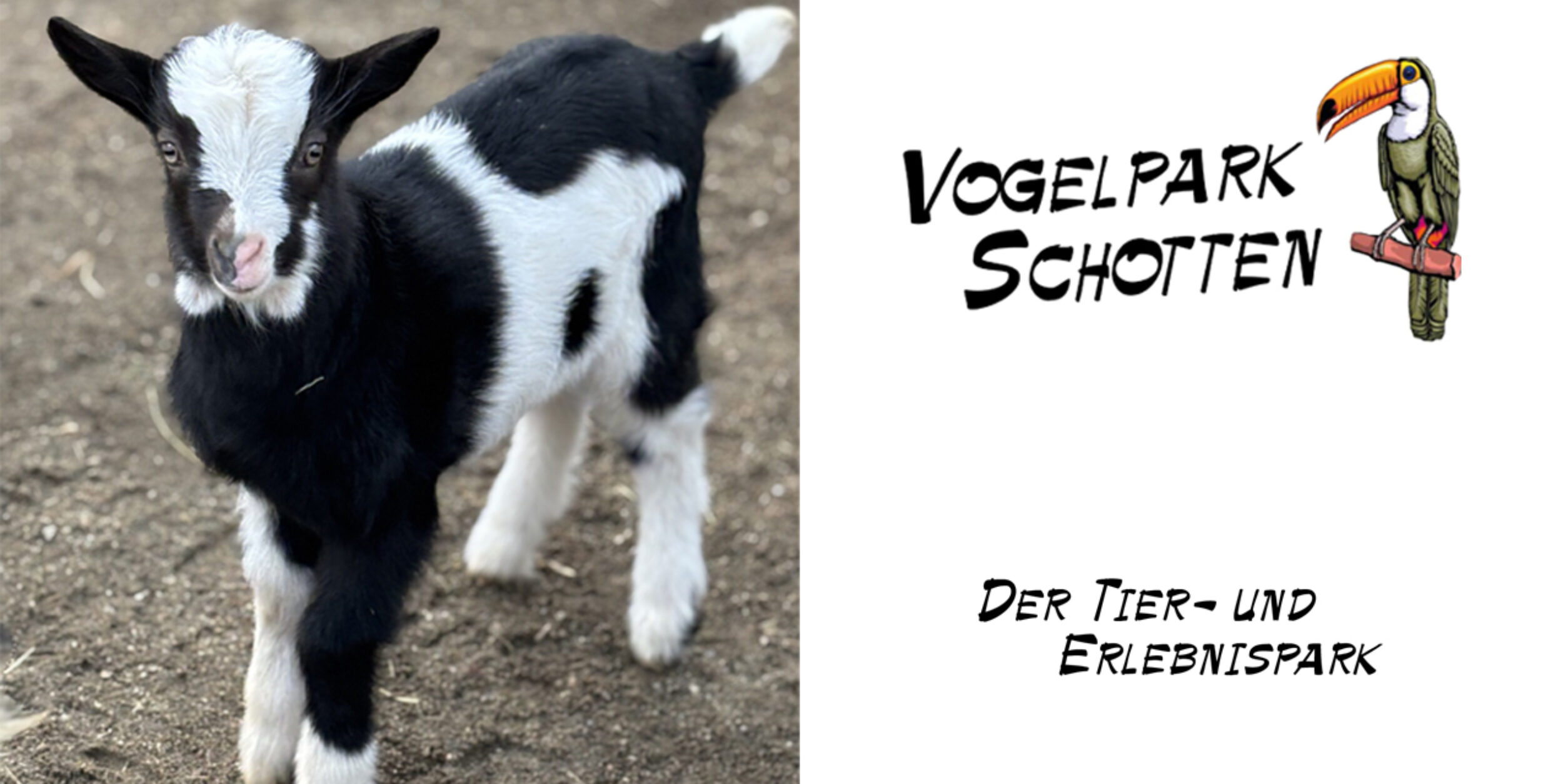 Der Vogelpark Schotten startet in die Saison 2025