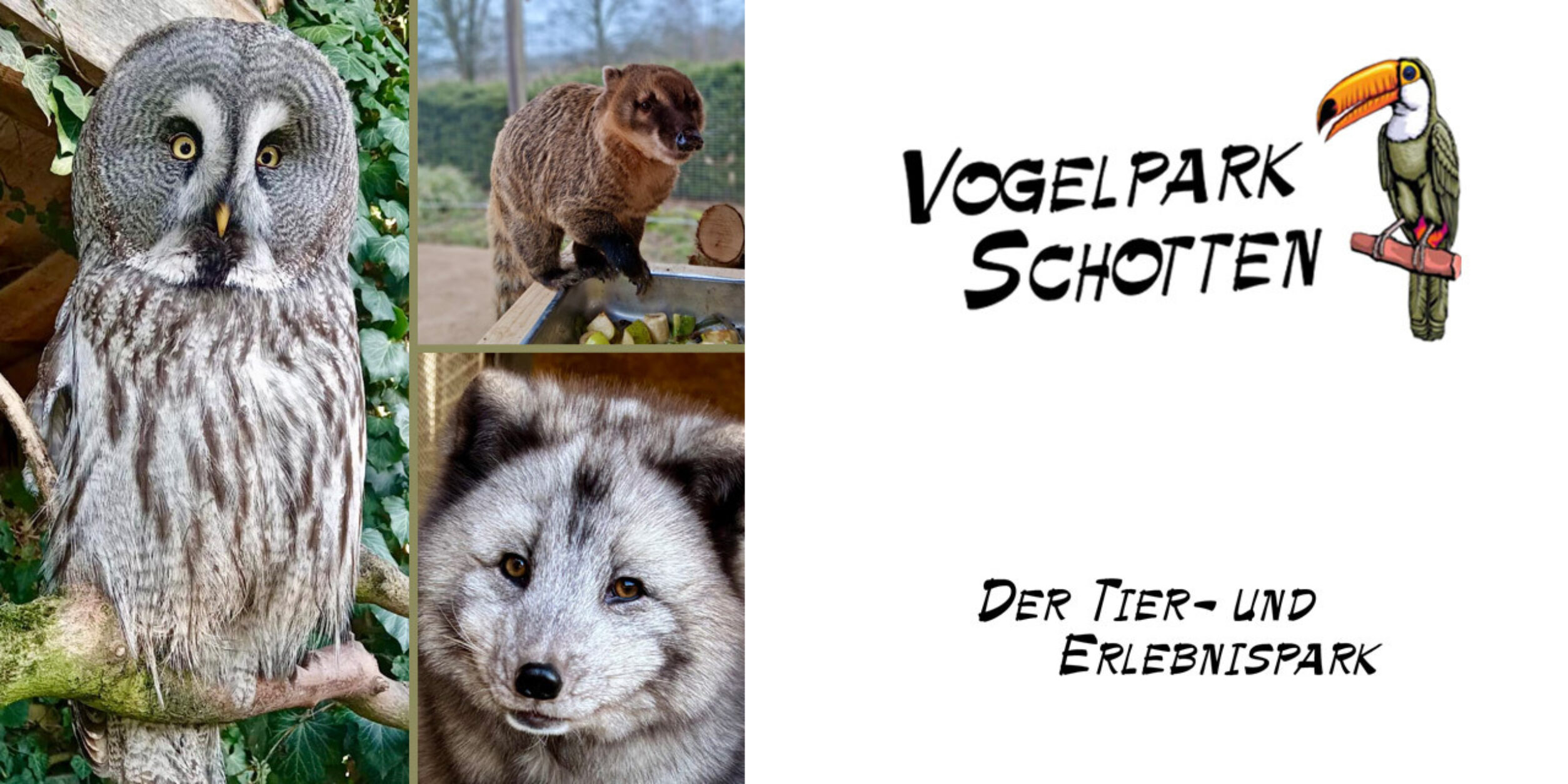 Im Vogelpark Schotten endet die Winterpause - am 21. März 2026 startet die Saison 2026