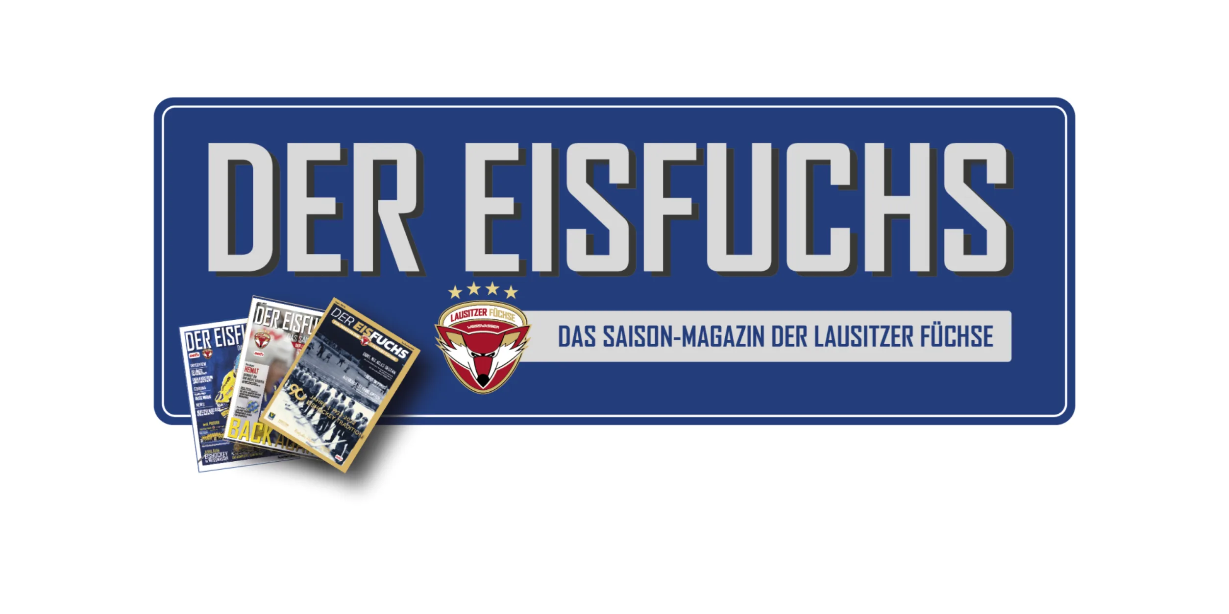 Der Eisfuchs