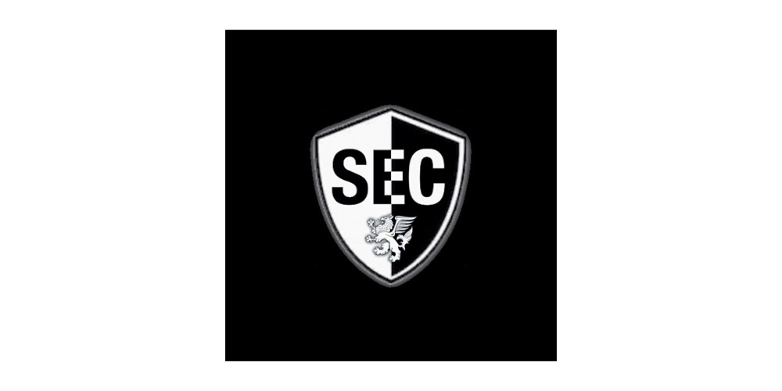 Griffin Risikomanagement