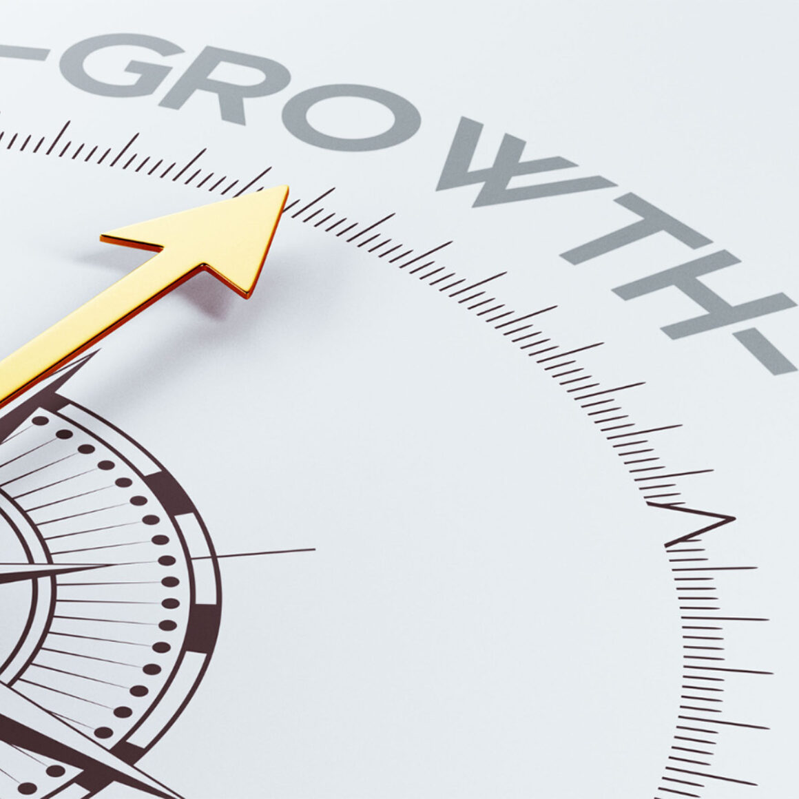 Kompass Growth Wirtschaftswachstum