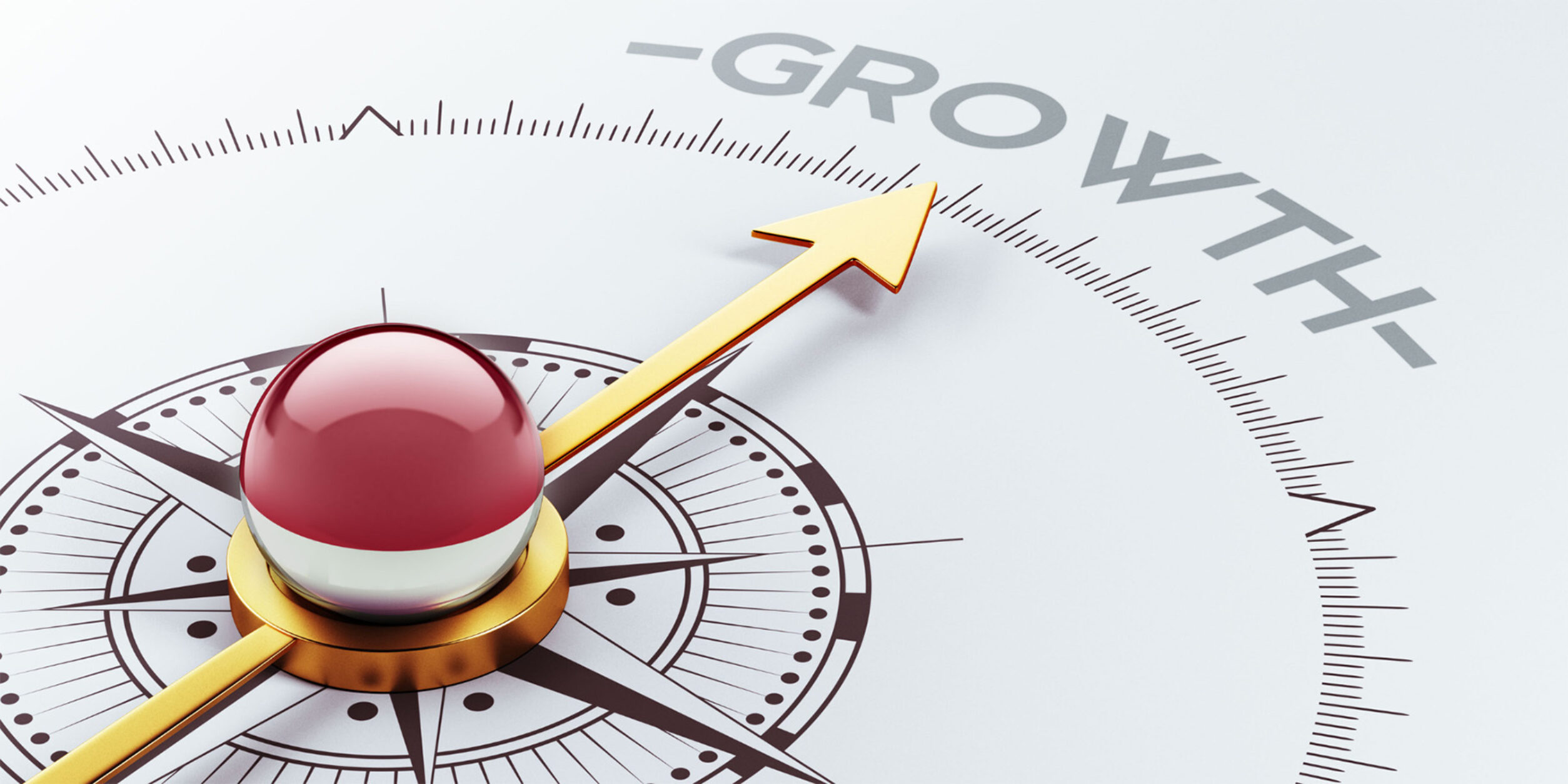 Kompass Growth Wirtschaftswachstum