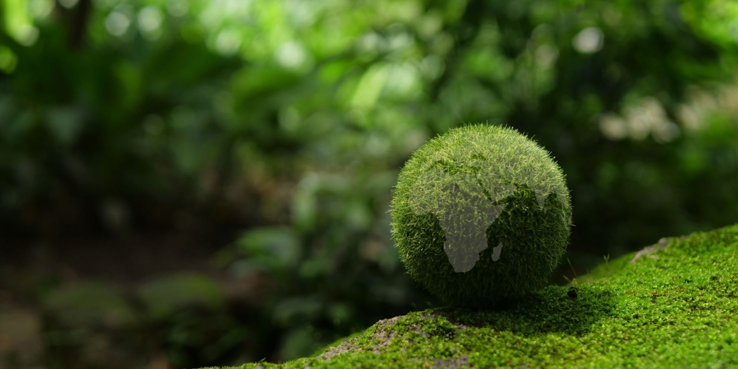 Ein Moosball in Form des PLaneten Erde