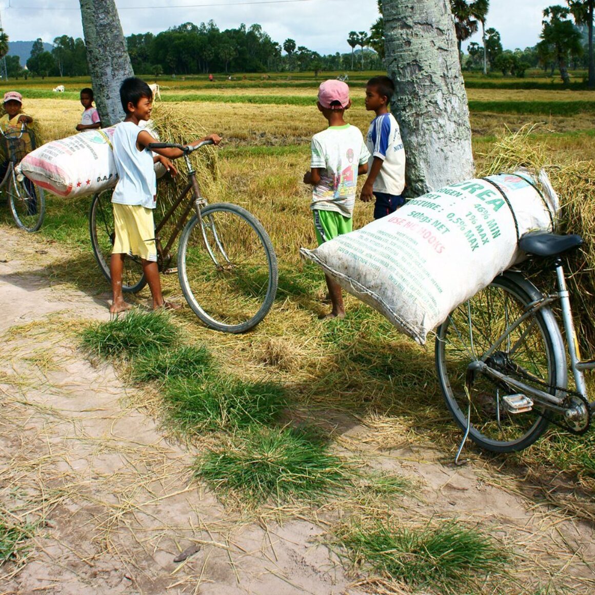 Kinderarbeit Vietnam 1920x960 i Stock 511666739