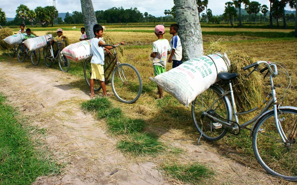 Kinderarbeit Vietnam 1920x960 i Stock 511666739
