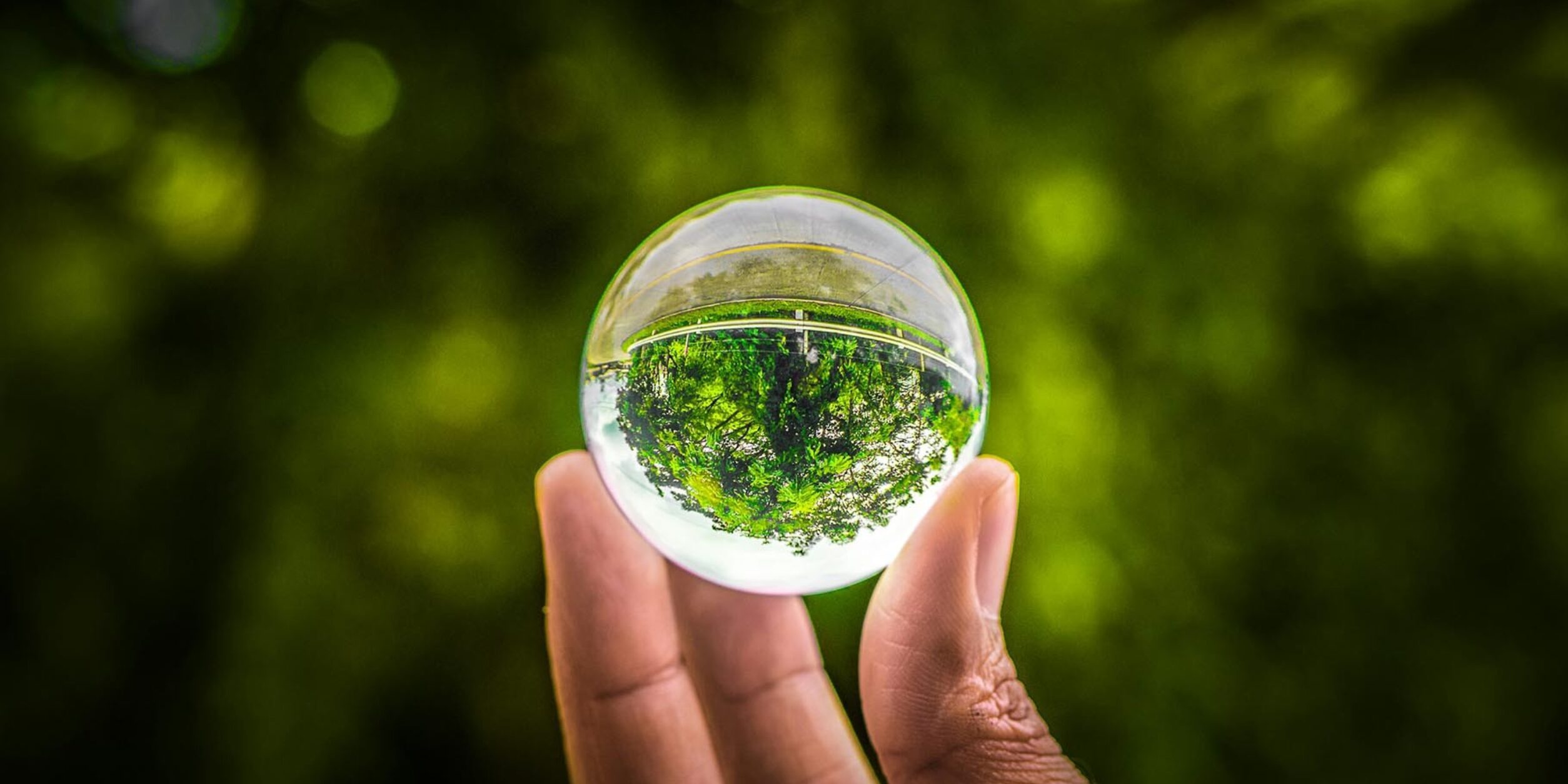 Finger halten eine Glaskugel für einem grünen Baum