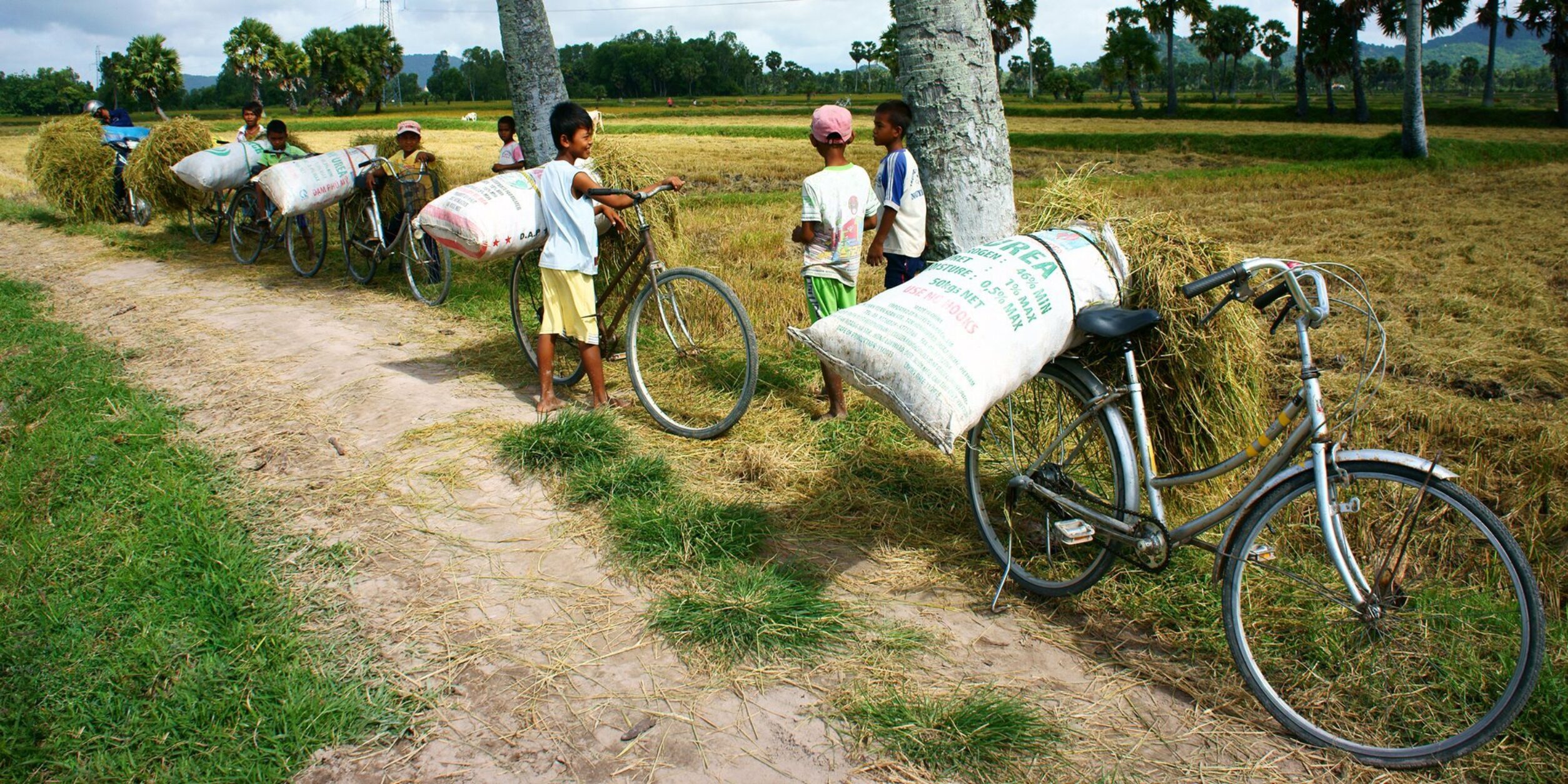 Kinderarbeit Vietnam 1920x960 i Stock 511666739