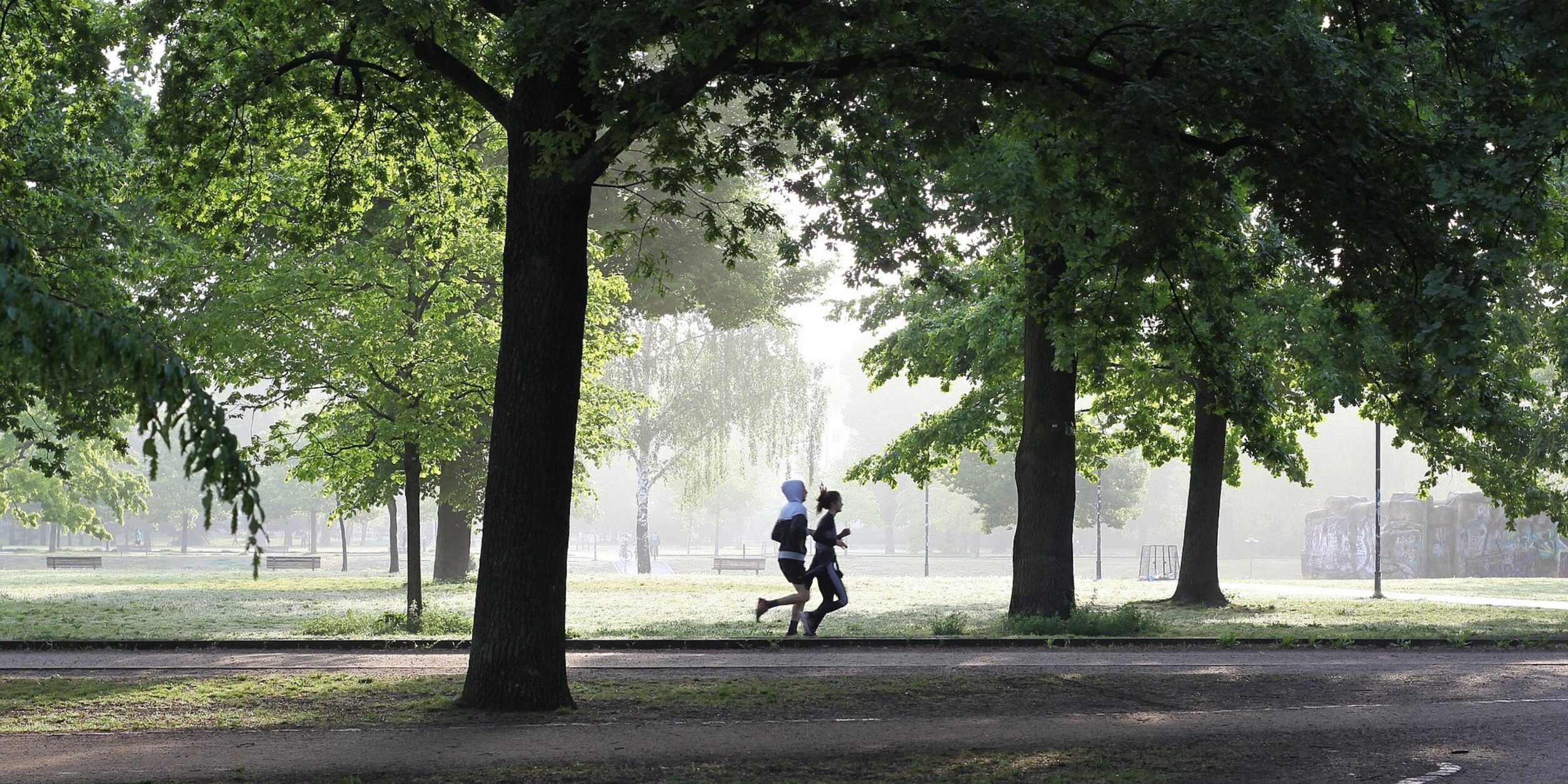 Jogging im Park unter Bäumen