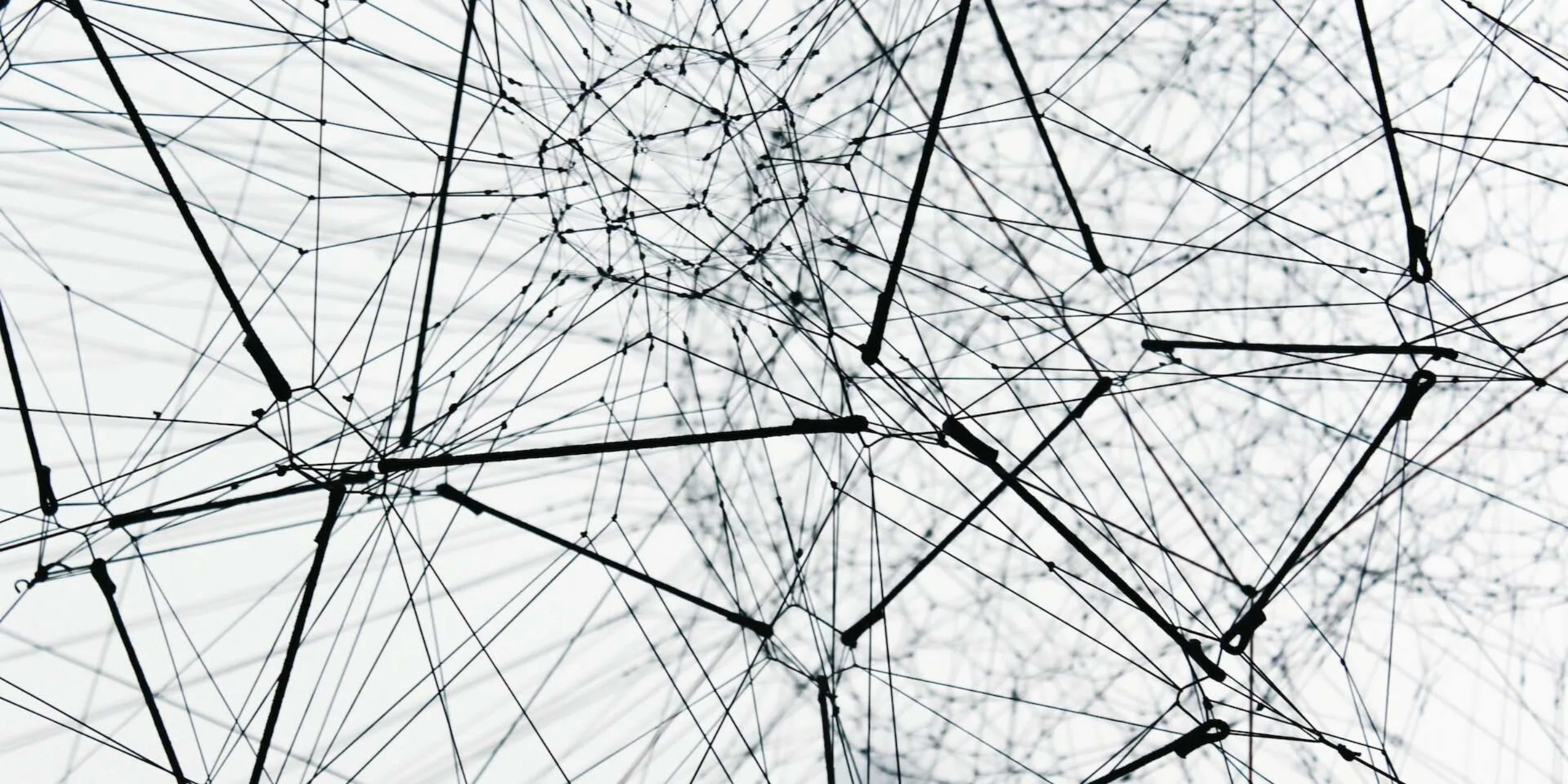 Netzwerk