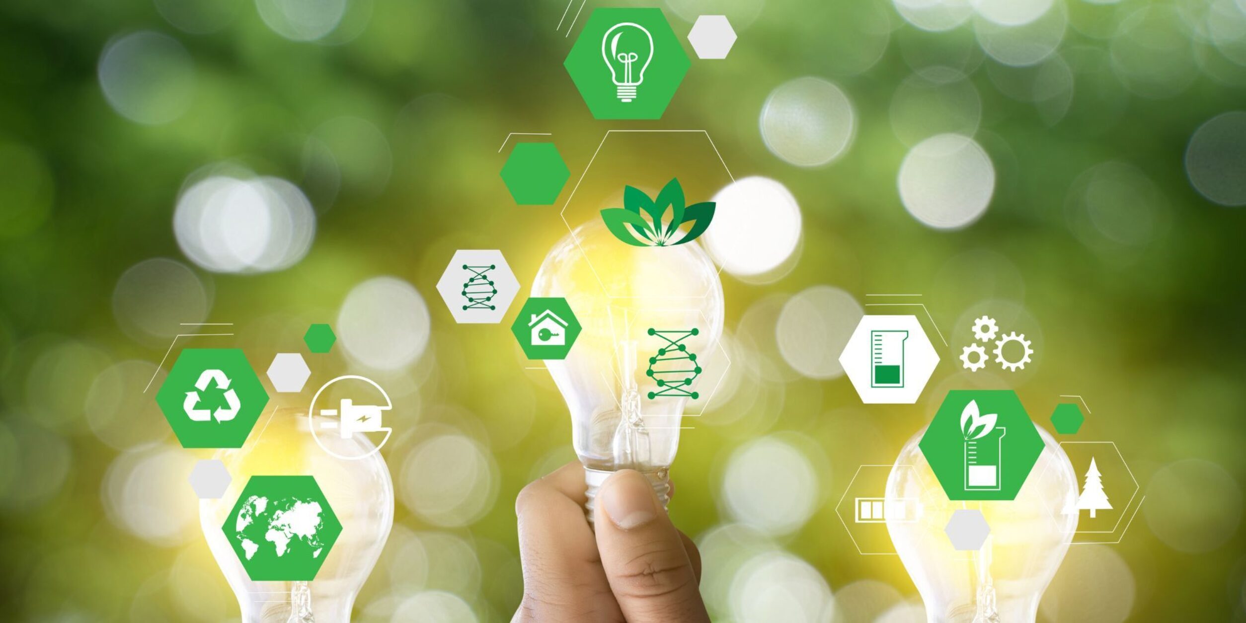 Mehrere Icons mit Bezug zu Nachhaltigkeit schwebe über einer Glühbirne