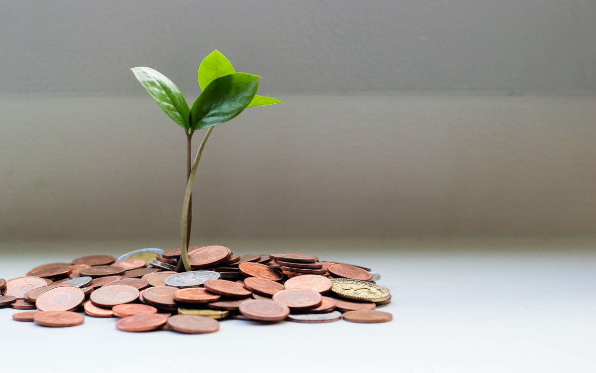 Pflanzensätzling und Münzen