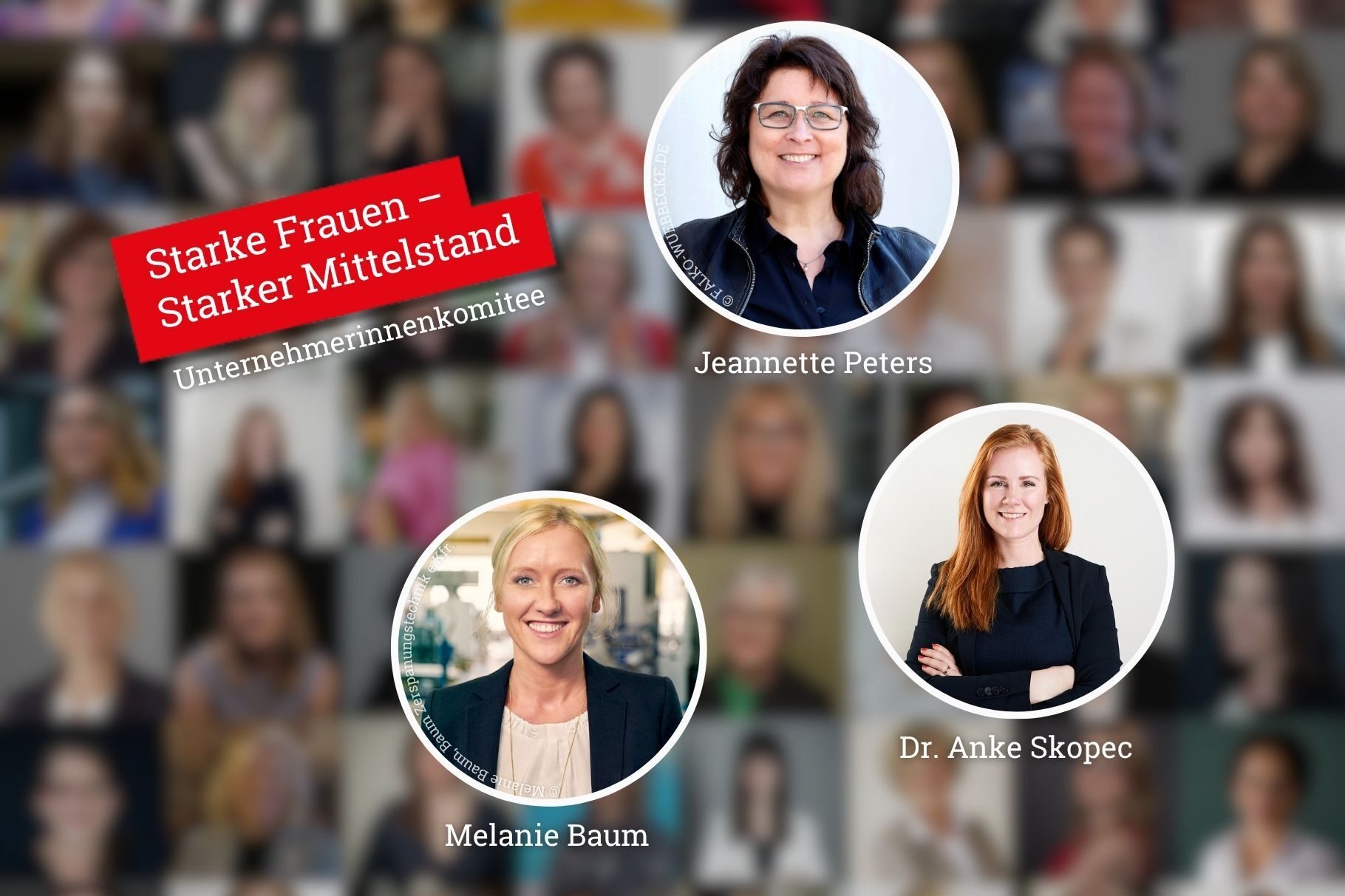 Die Mitglieder unseres Unternehmerinnenkomitees