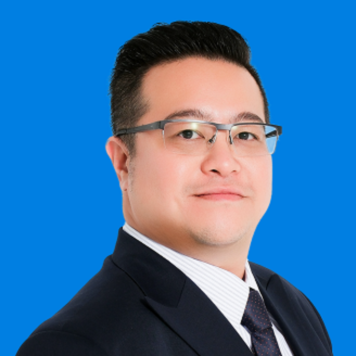 Herr Nhật Anh Hoffmann